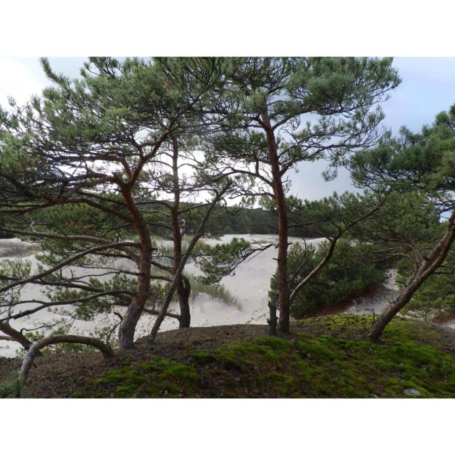 Sloneczna Przystan Villa Sasino Dış mekan fotoğraf